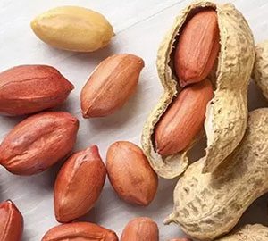Ground Nuts
