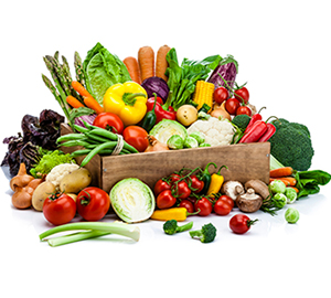 Vegetable OPV