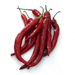Chilli