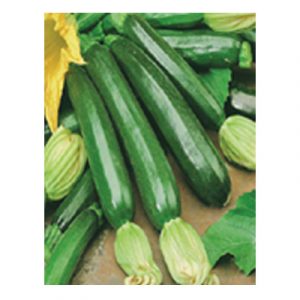 Baby Marrow