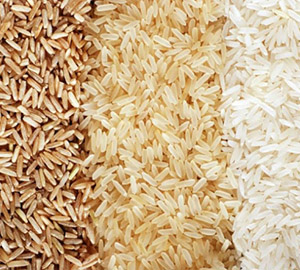 Rice