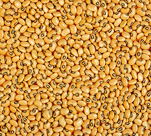 Cowpeas