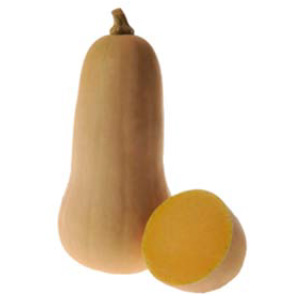 Butternut