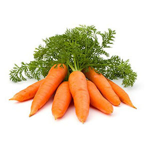 Carrot