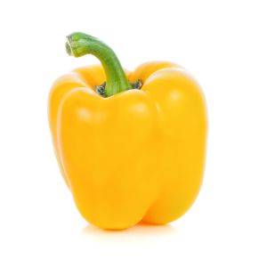 Solanor F1