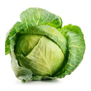 Cabbage