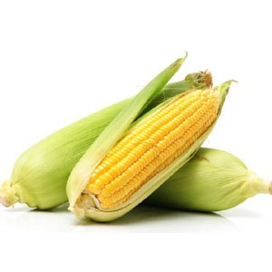 Sweet Corn