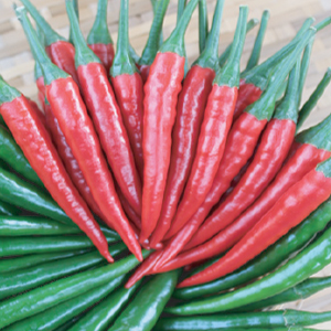 Red Thunder F1